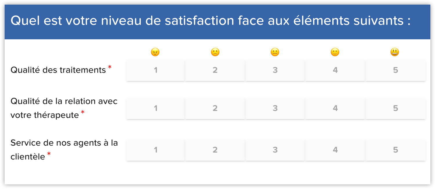 Questionnaire satisfaction client question matrice services