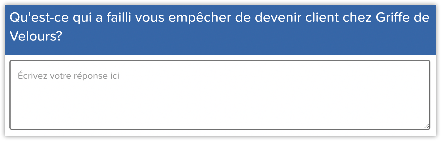 Questionnaire satisfaction client question ouverte